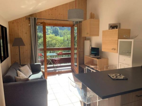 Appartement vue piste de ski